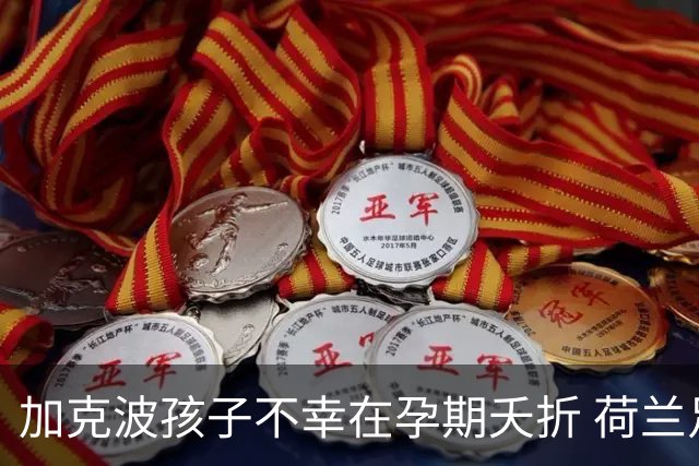 加克波孩子不幸在孕期夭折 荷兰足协：球员愿留队征战