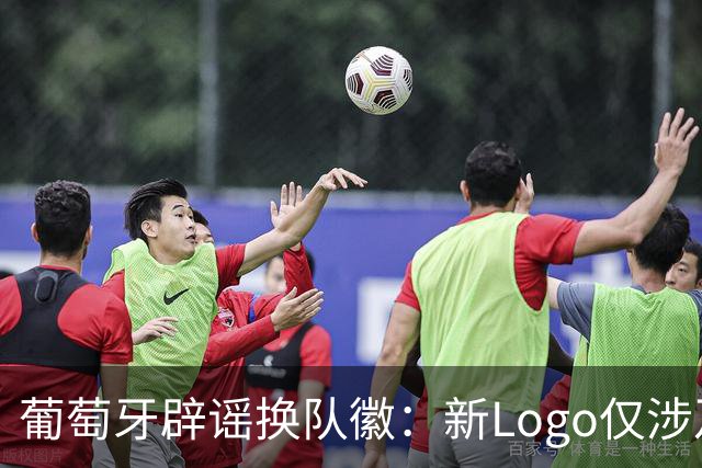 葡萄牙辟谣换队徽：新Logo仅涉及葡萄牙足协的企业和商业视觉形象